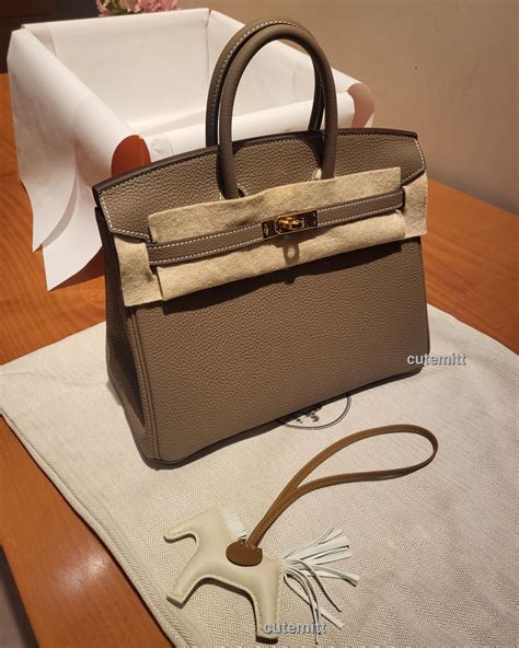 The Recent Hermès Purchases of PurseForum Members.